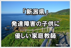 新潟県 発達障害 家庭教師