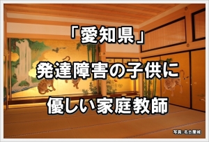 愛知県 発達障害 家庭教師