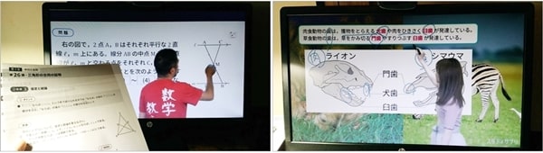 数学問題（解説付き）おすすめ教材②スタディサプリ