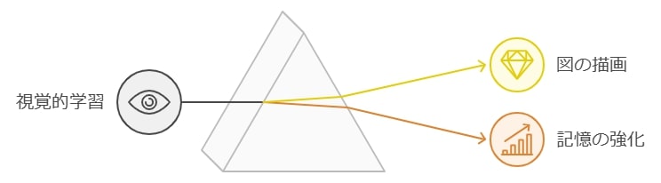 理科の効率的勉強法：実験と図解で理解を深める